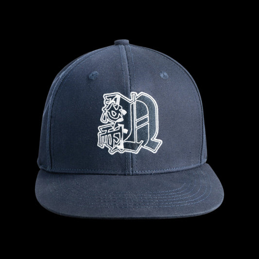 NT Fitted Cap